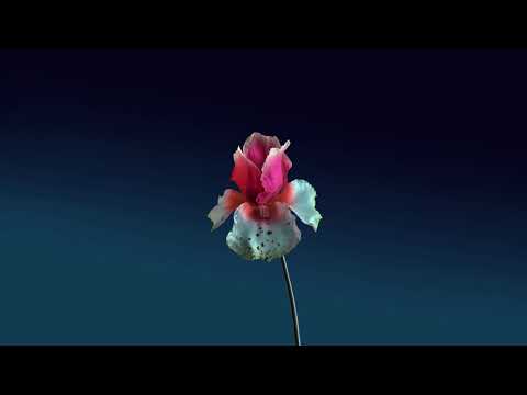 RL Grime - Core (Flume x What So Not Remix)