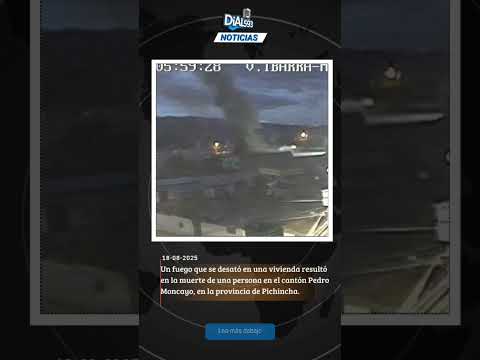 #URGENTE🚨 #Ecuador #Pichincha #new #follower #noticias #info #fyp #viralvideo #viralshort #viralreel