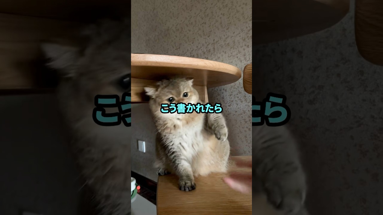 wwwのこと 笑 って書くやつ無理なんだが