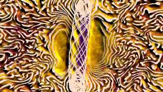 Hum - afternoon with the axolotls