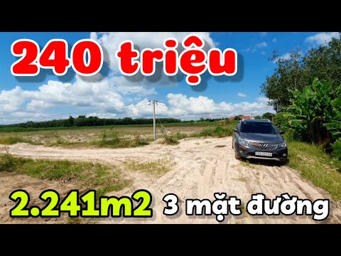 Bán đất 2.242m2 giá 240 triệu ở Thạnh Bình Tây Ninh đường ô tô giáp kênh thủy lợi huyện Tân Biên cũ
