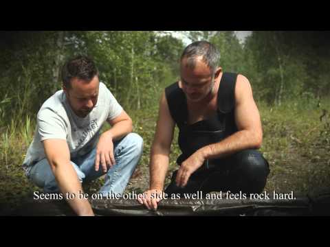 Carp diary 153 - M. Lotz: Is anybody familiar with the phenomenon shown here?