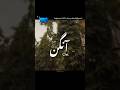 Hari Hari Aangan Ost Aesthetic Video Urdu Lyrics Status Shorts Aangan Ost Harihari Sad