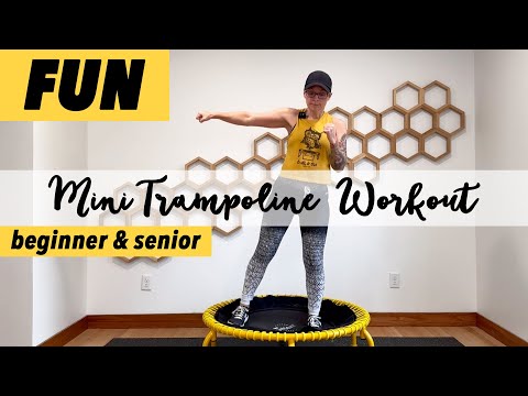 30 Minute Beginner Senior Rebounder Workout | Mini Trampoline Walking Cardio with Earth & Owl thumbnail