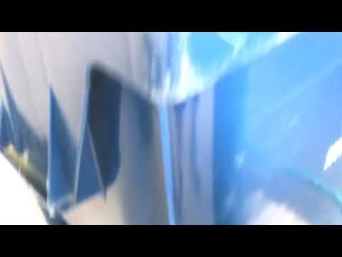 Bye Bye Flies in Toms River, NJ