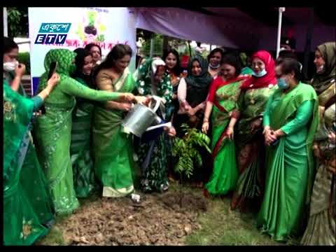 বনায়ন কর্মসূচী পালন করেছে পুনাক