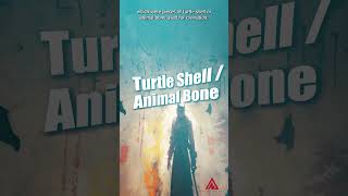 The SHANG DYNASTY 🐢 Oracle Bones For Divination | Ancient China #shorts