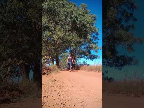 Caminhada sertaneja Comunidade Santa Rita município Vianópolis Goiás Brasil