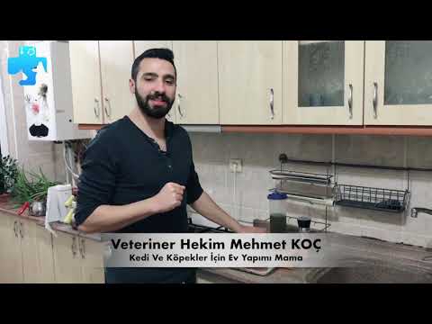 KEDİ VE KÖPEKLER İÇİN MAMA YAPTIM BAKIN NASIL OLDU | VETERİNER HEKİM MEHMET KOÇ