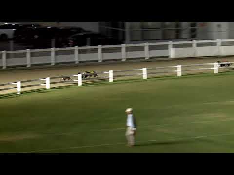 2020.08.07. 05. futam - Kincsem Park Magyar Derby III. negyeddöntő