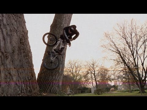 DOOMED - FELIX PRANGENBERG / NO PITY