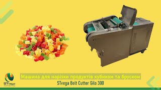 Нарізка слайсами, кубиками кабачкків, огірків, перцю vegetable cutting machine for sale - Image 12 | Machineryline NG New Нарізка слайсами, кубиками кабачкків, огірків, перцю vegetable cutting machine | Image 12 - Machineryline