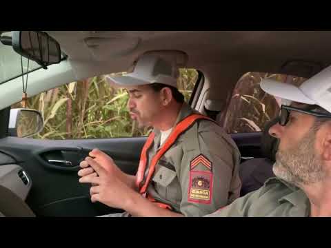 DEIXEI A POLÍCIA A PE!