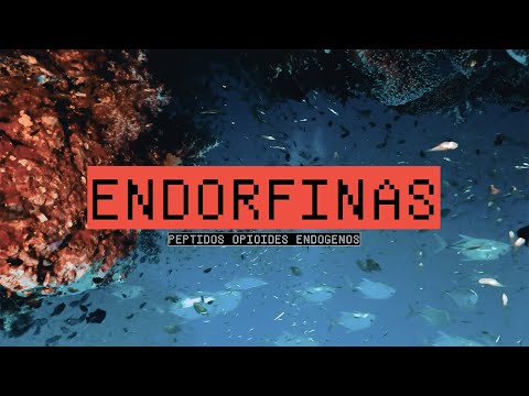 Endorfinas (con Garolo)