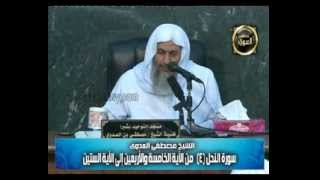 تفسير سورة النحل (4) من الآية الخامسة والأربعين إلى الآية الستين