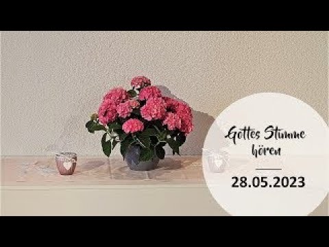 2023.05.21 Daniel Ott - Gottes Stimme hören