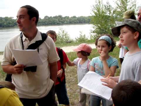 SzüniDöDŐ a Népszigeten