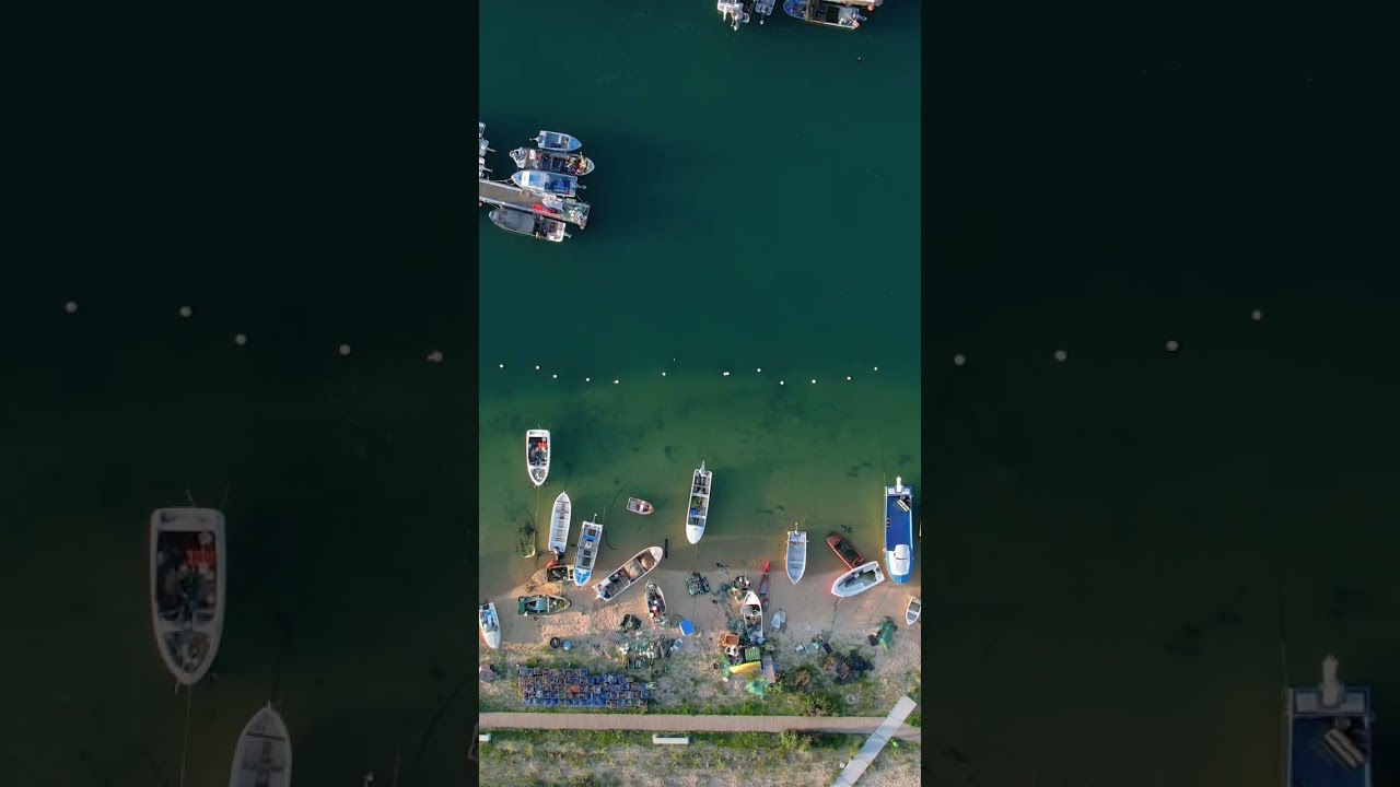 YouTube Short thumbnail