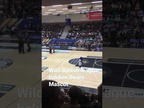 Danish Mascot bakken Bears #shorts #basketball #bakken
