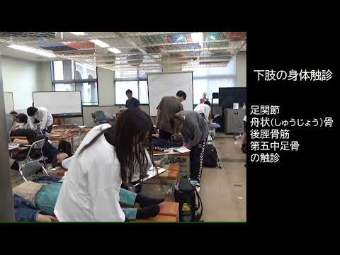 保健福祉学科 講義演習紹介_2024理学療法評価学演習Ⅰ