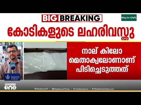 media one tv show screenshot 