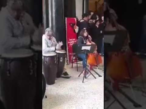 CONGAS SOLO'S JAZZ