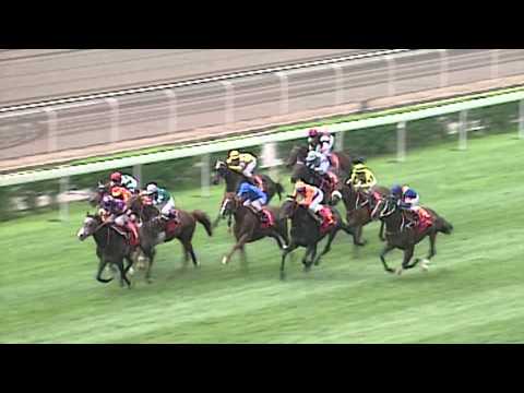 Horse Racing Jockey: Douglas Whyte, 13-time Champion of Hong Kong