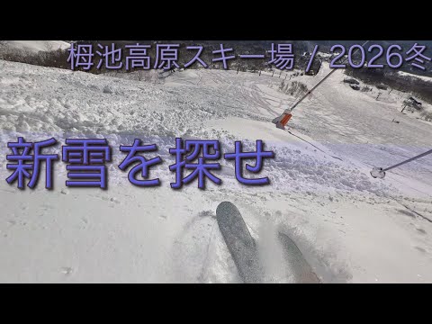 【栂池高原スキー場】ちょい雪の後はチャンス！極上の新雪を探してゲレンデで遊んでみよう！