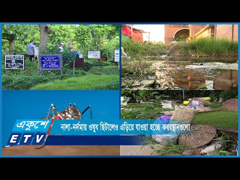 ডেঙ্গুর দাপট ঠেকাতে নালা-নর্দমায় ওষুধ ছিটালেও এড়িয়ে যাওয়া হচ্ছে কবরস্থানগুলো | ETV News