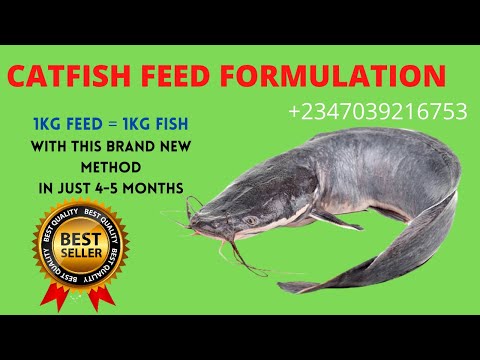 Catfish Feed Formulation