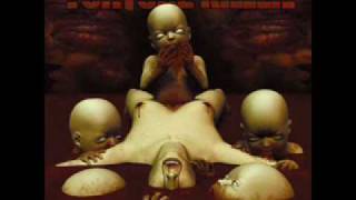 Torture Killer - No Time To Bleed