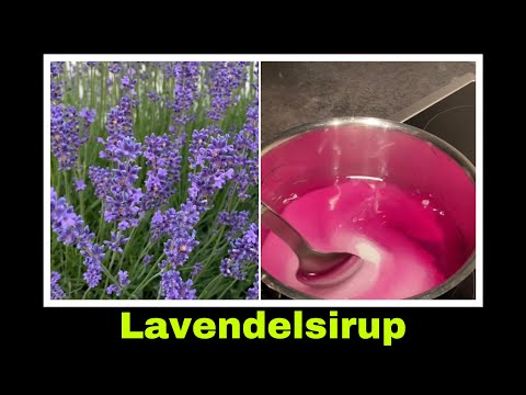 Lavendelsirup Rezept | Lavendelblüten Sirup herstellen | Selbstversorgung: Lavendel