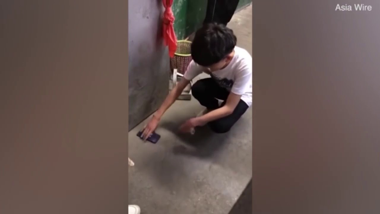 Суровое наказание за то, что школьник принес смартфон на занятия