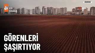Adana’da devasa binaların arasında milyonluk arsa - atv Ana Haber 29 A