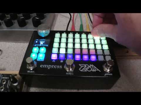 Tiny cases rearranged and new Empress ZOIA!