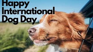 Happy International Dog Day WhatsApp Status | Dog Lovers WhatsApp Status | Happy Dog day | Dog Day?