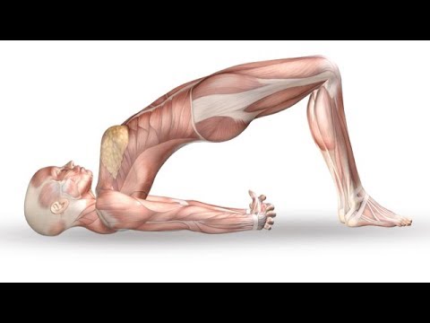 Hatha yoga para sa mga nagsisimula mag-ehersisyo para sa pagbaba ng timbang Kazakhstani bituin bilang mangayayat