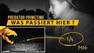 Predator Primetime | Das lief anders als geplant! 𝗩𝗶𝗲𝗹 𝗥𝗮𝘂𝗯𝘄𝗶𝗹𝗱 und eine 𝗠𝗲𝗻𝗴𝗲 𝗧𝗶𝗽𝗽𝘀 für Anfänger!