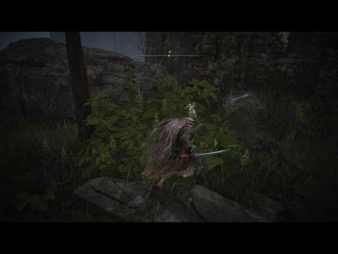 ELDEN RING How to reach Iji the master blacksmith