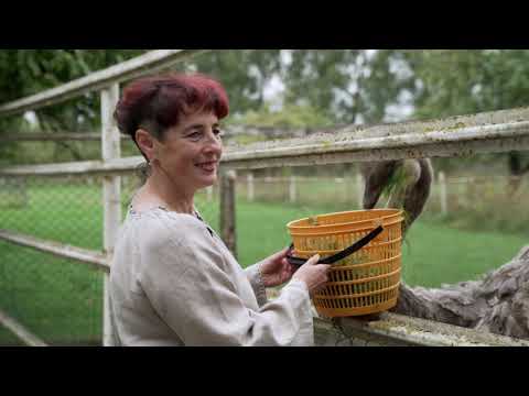 No Piena ceļa nākuši: Sēlija – identitāte.  Dviete