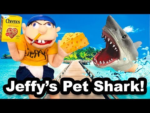 SML Movie: Jeffy's Pet Shark!