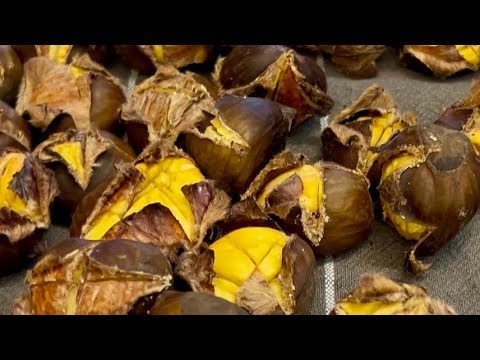 Castagne 🌰 Cottura perfetta