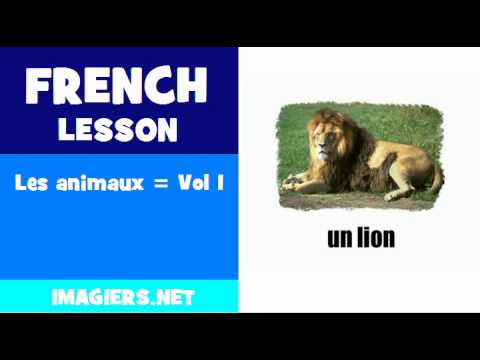 FRENCH LESSON #186 = Les animaux = Vol 1