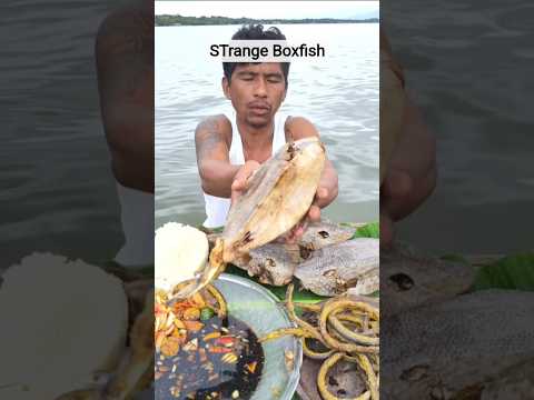 Eating This STRANGE River Boxfish 😱