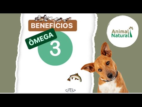 NutraFases Ômega 3 p/ saúde da pele e dos pelos