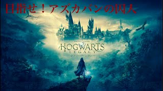 [ホグワーツレガシー] #10 杖が魔法使いを選ぶのじゃ