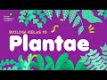 Memahami Plantae: Klasifikasi dan Karakteristik Tumbuhan