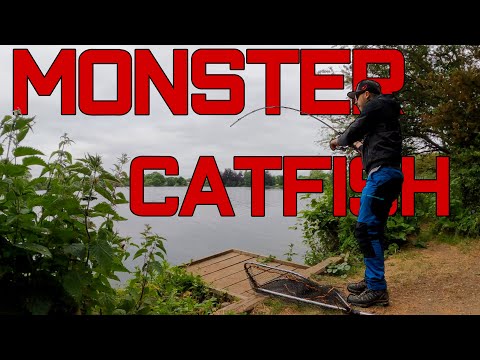 BIG WELS CATFISH on a lure | BIGGEST fish I ever caught | Lure fishing for catfish