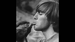 The Beach Boys - Tune L (edit)