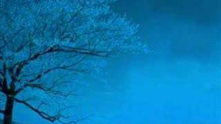 Matt Darey - Nocturnal Delight